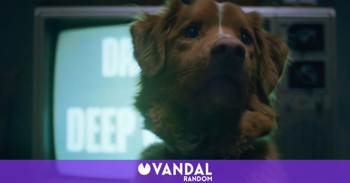 'Good Boy', el terror visto por un perro al estilo 'Agallas, el perro cobarde', revela sus primeras imágenes - Vandal
