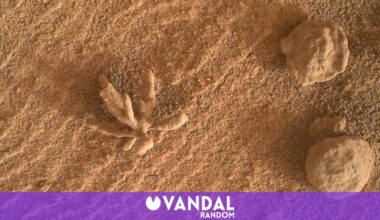 El rover Curiosity de la NASA halla en Marte una roca con forma de coral que desconcierta a los científicos - Vandal