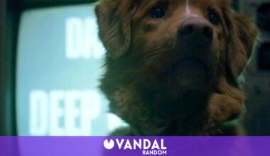 El perro conquista a la crítica y al público: la película de terror Good Boy se estrenará en salas tras hacerse viral - Vandal