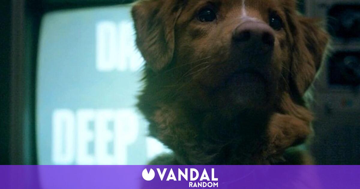 El perro conquista a la crítica y al público: la película de terror Good Boy se estrenará en salas tras hacerse viral - Vandal