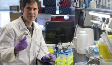 El científico cartagenero que ha revolucionado la detección de aterosclerosis, una enfermedad que provoca ictus e infartos