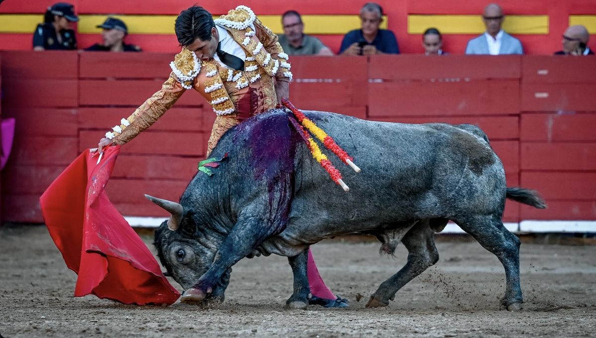 Brilló el regusto y la profundidad de los muletazos de Álvaro Lorenzo.