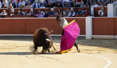 Tarde triunfal en el festival de Alcalá del Júcar (Albacete)