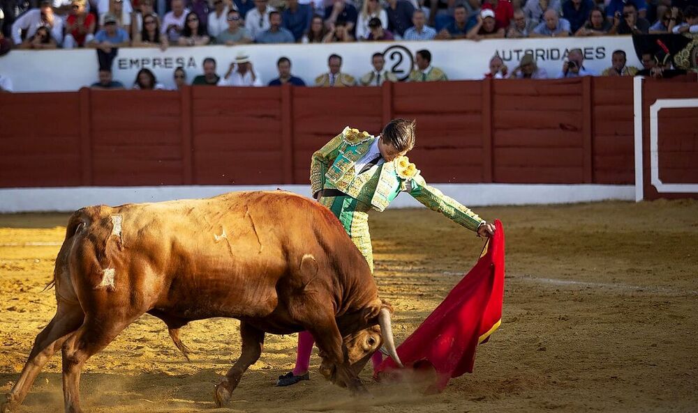 El Concepto de Ruiz de Velasco se queda a las puertas del triunfo