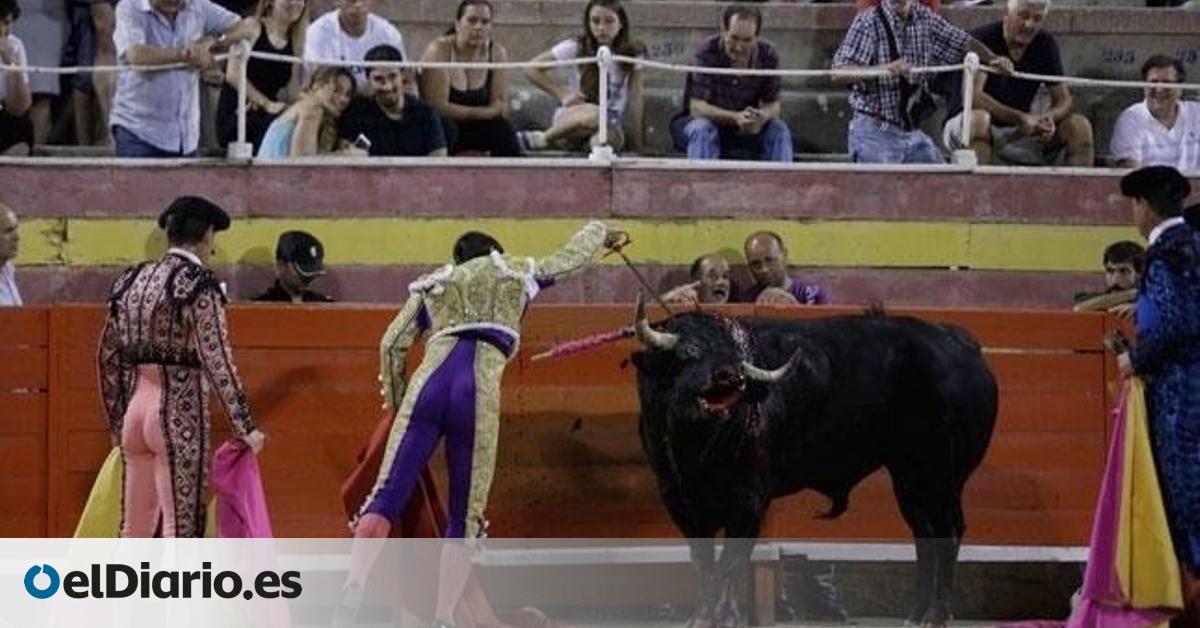 La Fundación Franz Weber alerta de la organización de una corrida de toros en la plaza de Muro tras 8 años sin actividad