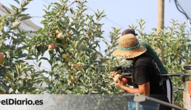 Muere un jornalero mientras trabajaba a más de 40 grados en Alcarràs (Lleida)