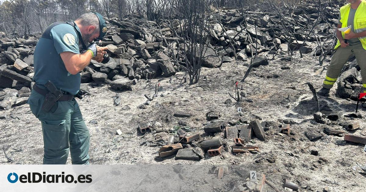Un vertedero irregular es el origen del incendio de Zamora que ha quemado 4.000 hectáreas
