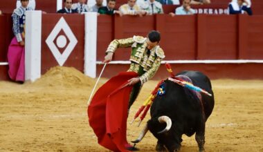 La opinión de Málaga