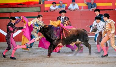 Tremenda cogida de Román en Requena