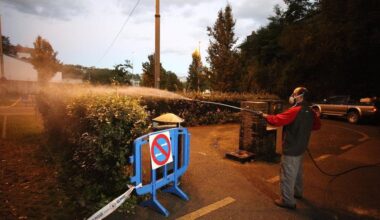 Hendaia amplía las zonas a fumigar por la amenaza del mosquito tigre