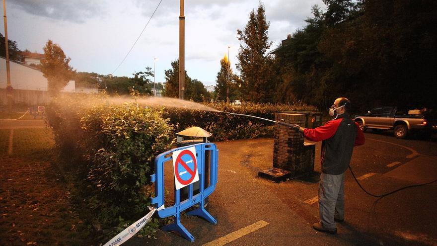 Hendaia amplía las zonas a fumigar por la amenaza del mosquito tigre