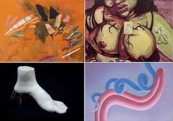 Obras de Muriel Barcos, Bby