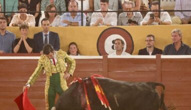 Los de arte también saben mandar, poder y llenar
