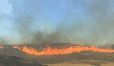 Granada se suma a la España que arde con un fuego «cada vez más difícil» en la comarca de Baza