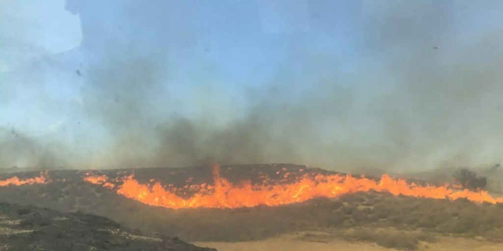 Granada se suma a la España que arde con un fuego «cada vez más difícil» en la comarca de Baza