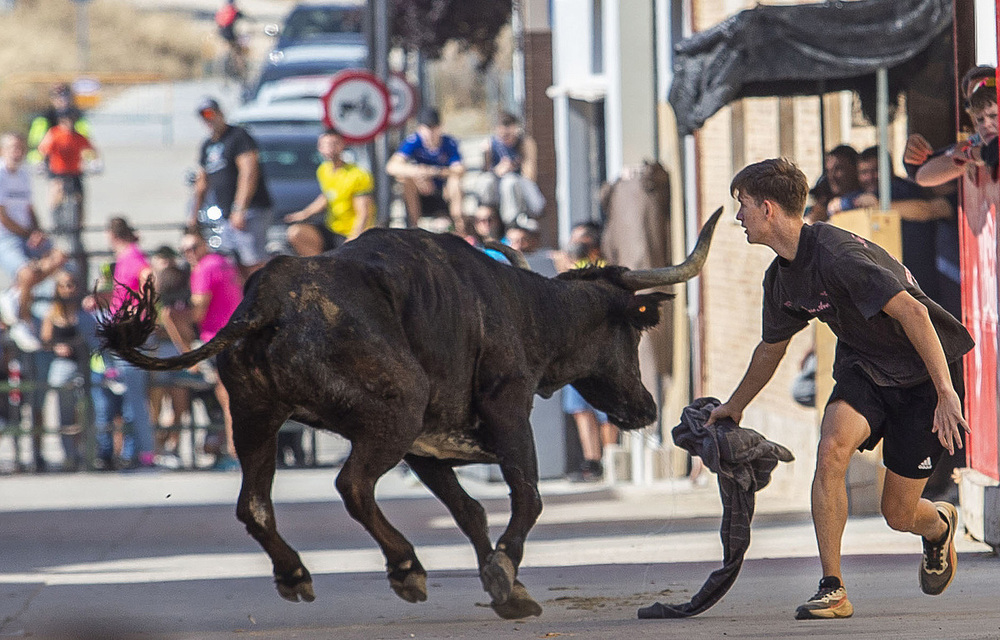 Encierros y guerra huevera en las fiestas Botijeras de Dueñas