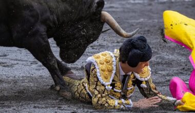 Lesionado en el pie izquierdo Roca Rey: al menos una semana sin poder torear