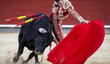 Molina corta una oreja tras una firme tarde en Azpeitia