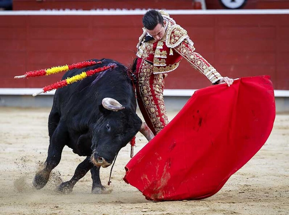 Molina corta una oreja tras una firme tarde en Azpeitia