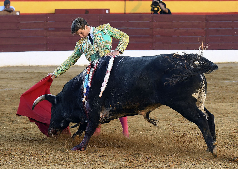 El novillero burgalés Eduardo Ruiz de Velasco y el clasicismo de puerta grande