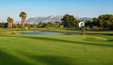 Una mosca 'ayuda' a un golfista a conseguir dos millones de dólares metiendo la bola en el hoyo