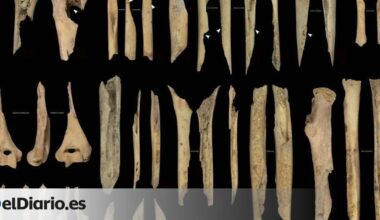 los restos de un nuevo caso de canibalismo durante el Neolítico en Atapuerca