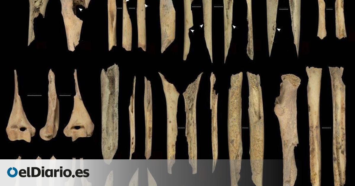los restos de un nuevo caso de canibalismo durante el Neolítico en Atapuerca