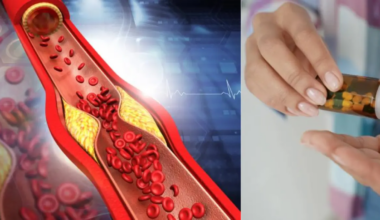 5 métodos científicos que mejoran su salud cardiovascular