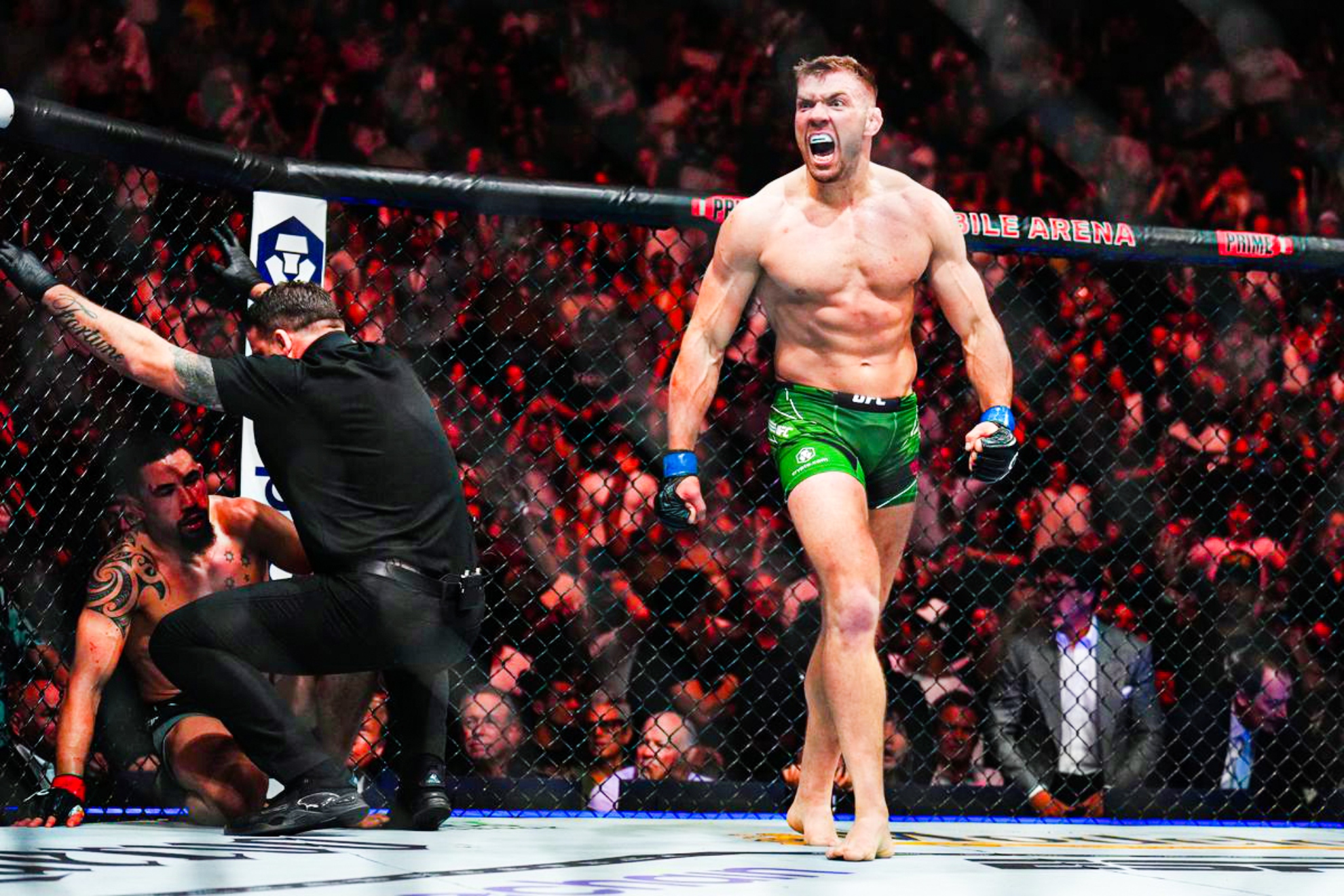 Du Plessis celebrando su victoria ante Robert Whittaker.