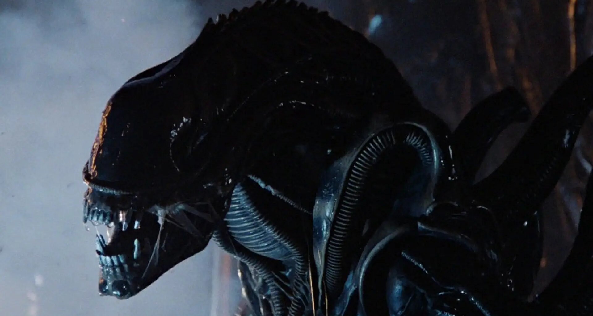 ¿"Xenoformo" o "xenomorfo"? Esta es la forma correcta de llamar a las criaturas de 'Alien'
