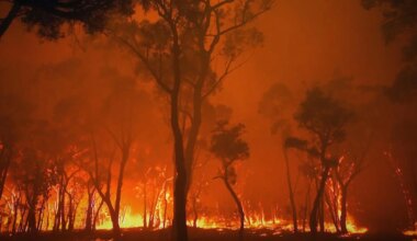 el impresionante (y necesario) documental de incendios forestales disponible en streaming