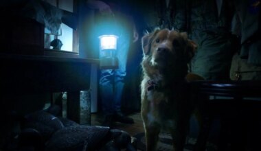 ¿El perro muere al final? La duda que ha cambiado el futuro de esta película de terror antes de estrenarse