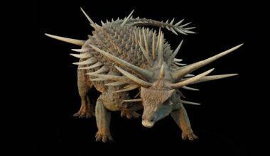 El hallazgo del siglo: descubren un dinosauro con "armadura de espinas" que vivió hace 165 millones de años - El Cronista
