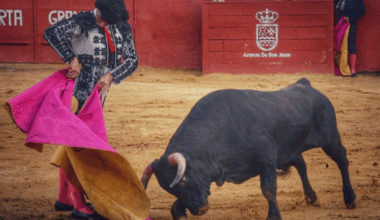 Ciudad Real: El empresario Andrés Masías asume el apoderamiento del novillero Aparicio Romero #toros