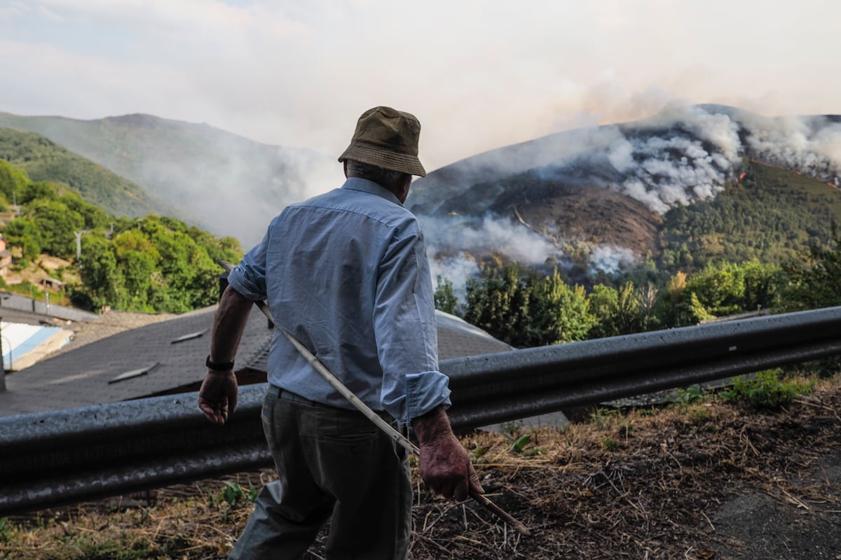 Última hora de los incendios en España, en directo | Interior cifra en 21 los incendios activos con máximo novel de riesgo | España