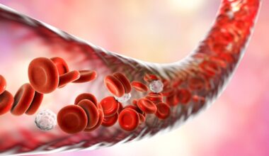 Modelo mide exposición a radiación en sangre para tratamientos precisos contra cáncer - Hematología