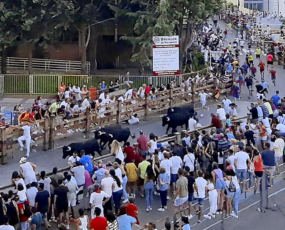 Toros y charangas para el disfrute de las peñas en Íscar