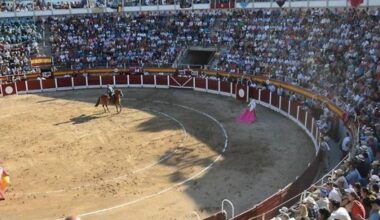 La Monumental, la plaza de toros de Muro.