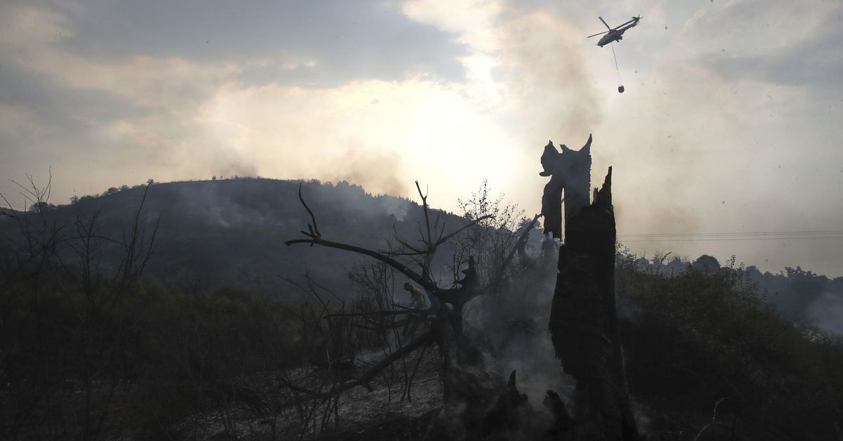 Detenido un joven de 20 años como supuesto autor del incendio de Berlanga del Bierzo (León)