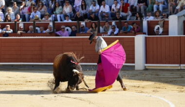 Pinar triunfa en San Román de los Montes