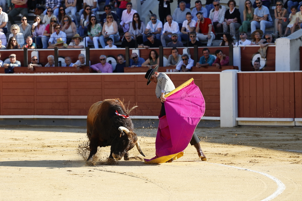 Pinar triunfa en San Román de los Montes