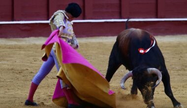 La opinión de Málaga