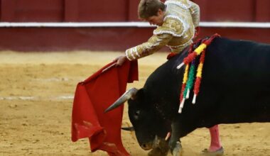 La opinión de Málaga