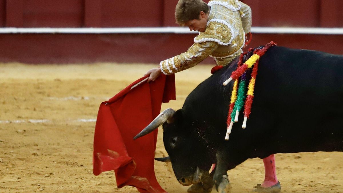 La opinión de Málaga