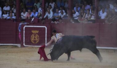 Novillada de las pasadas fiestas de San Agustín en la plaza de toros de Toro.