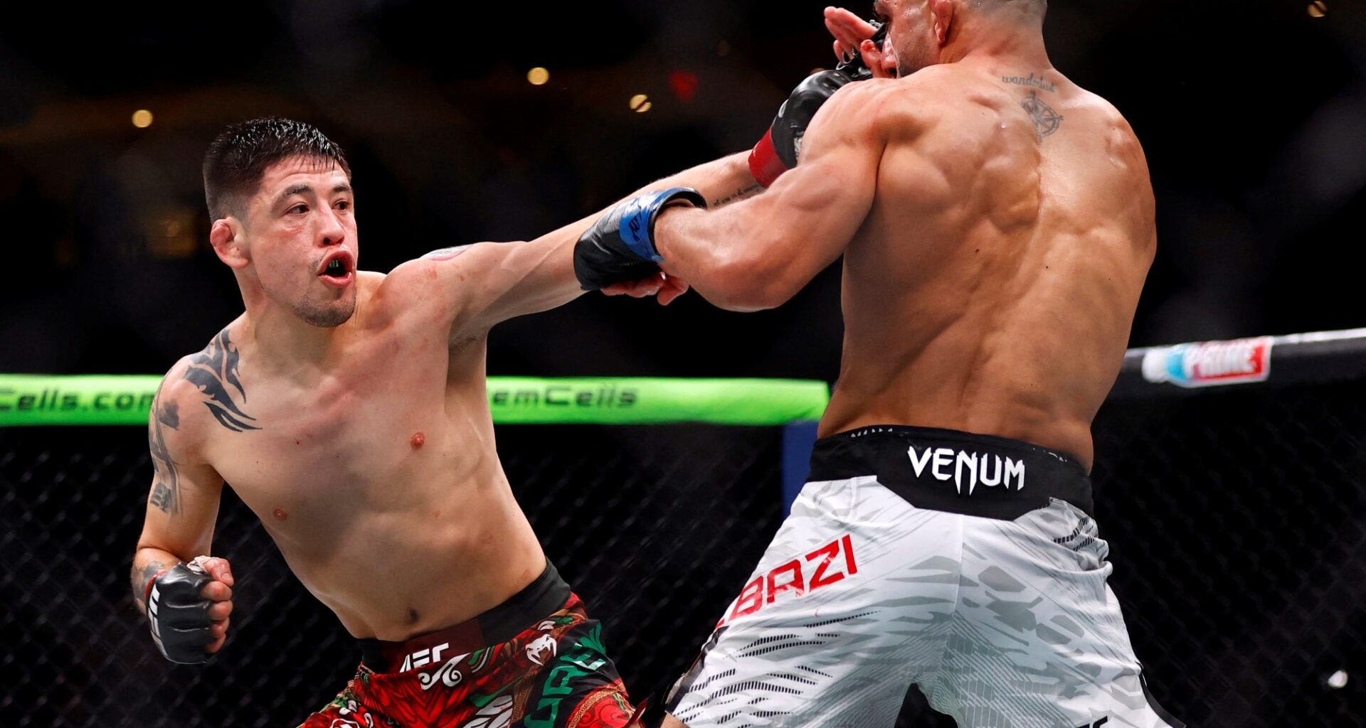 ¿Cuánto ganan los luchadores de la UFC? :: Olé USA