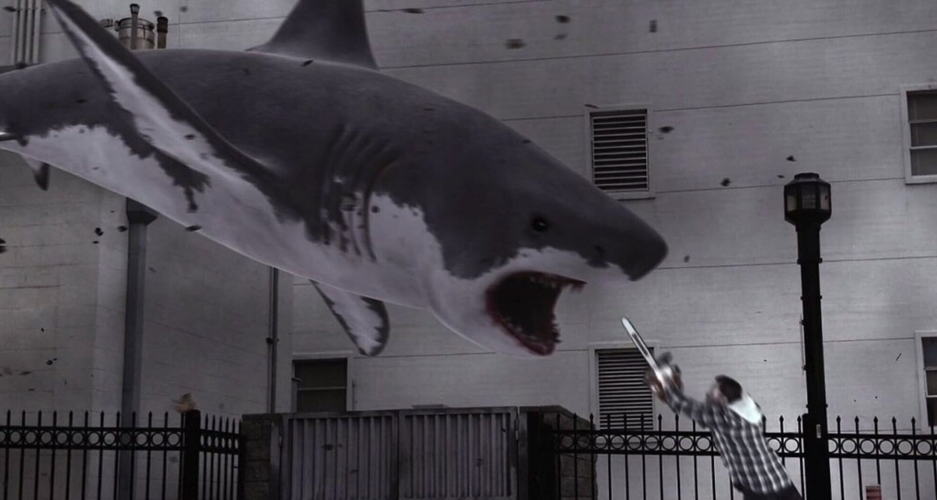 De 'Dangerous Animals' a 'Open Water': Las 10 mejores películas de tiburones del siglo XXI
