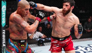 Peso Semicompleto: Amenazas Al Reinado De Ankalaev - UFCESPANOL.com