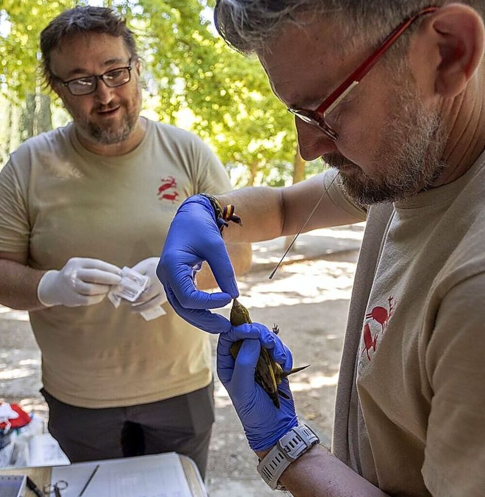 investigar para conocer qué hay en los parques