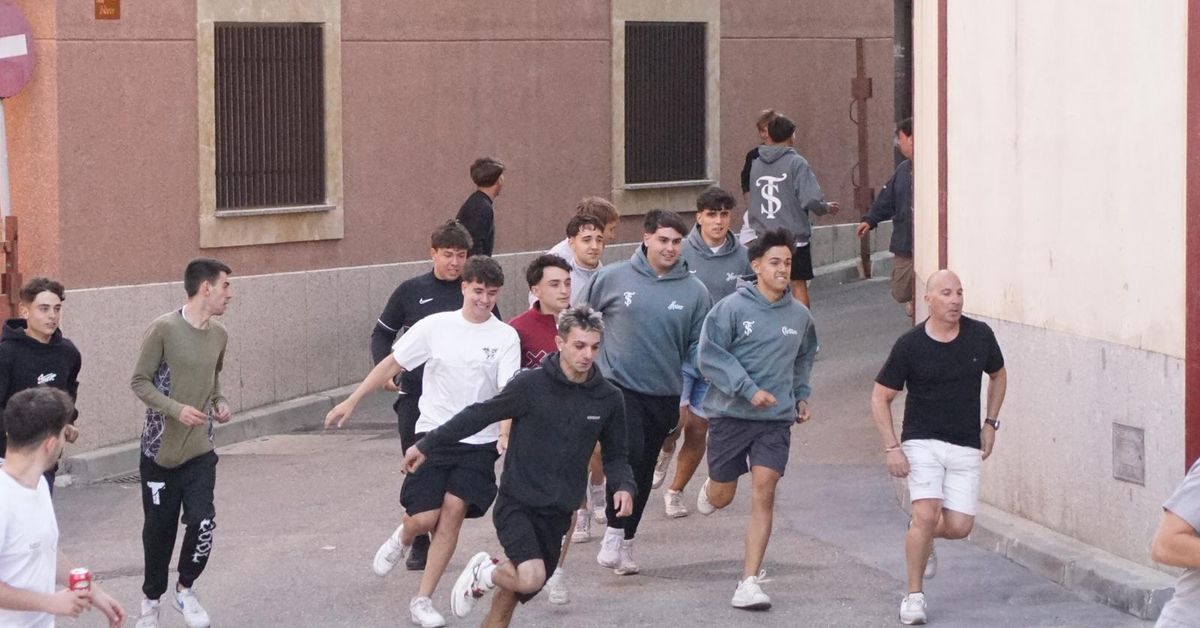 Alba de Tormes arranca el día con adrenalina y tradición en su encierro y capea